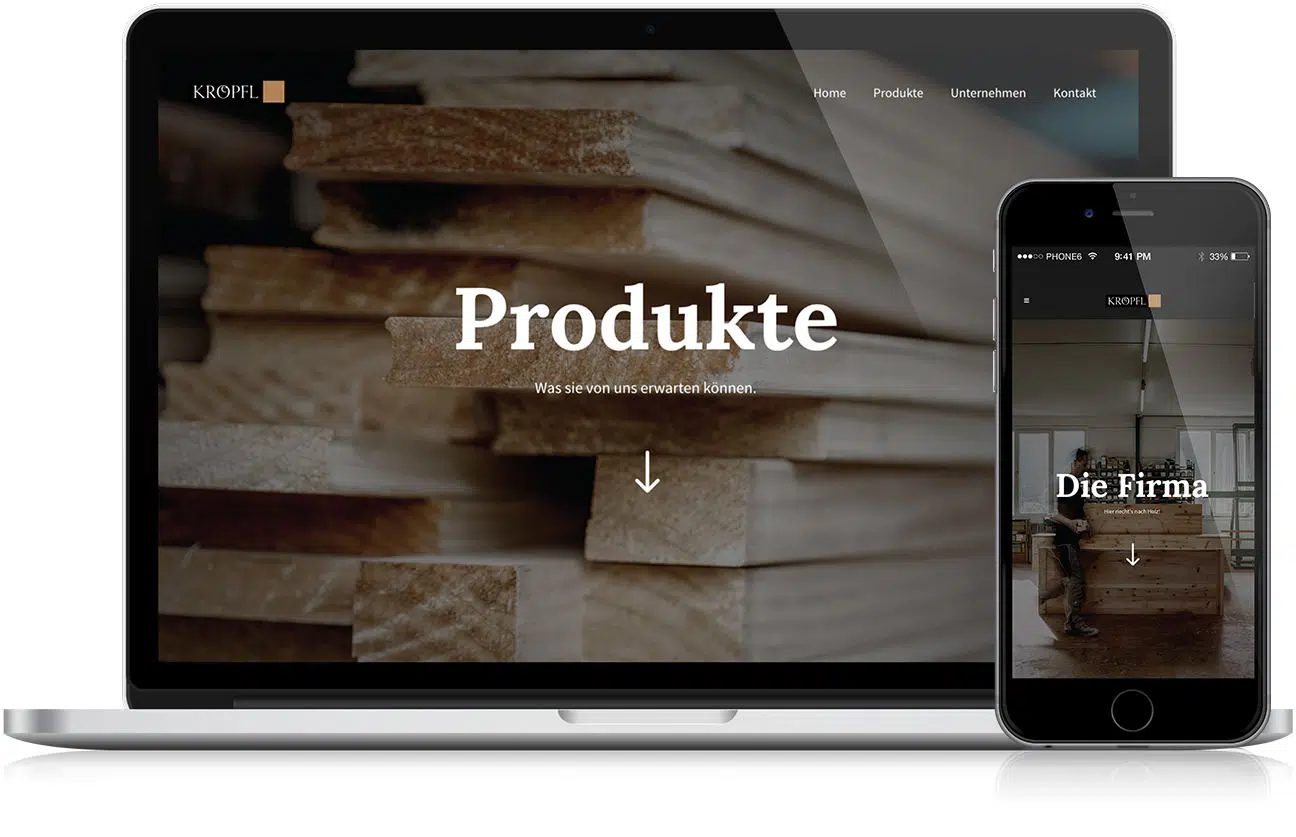 Kröpfl Website 2016